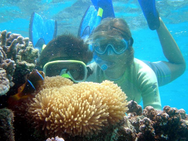 45- On pose avec le poisson-clown 